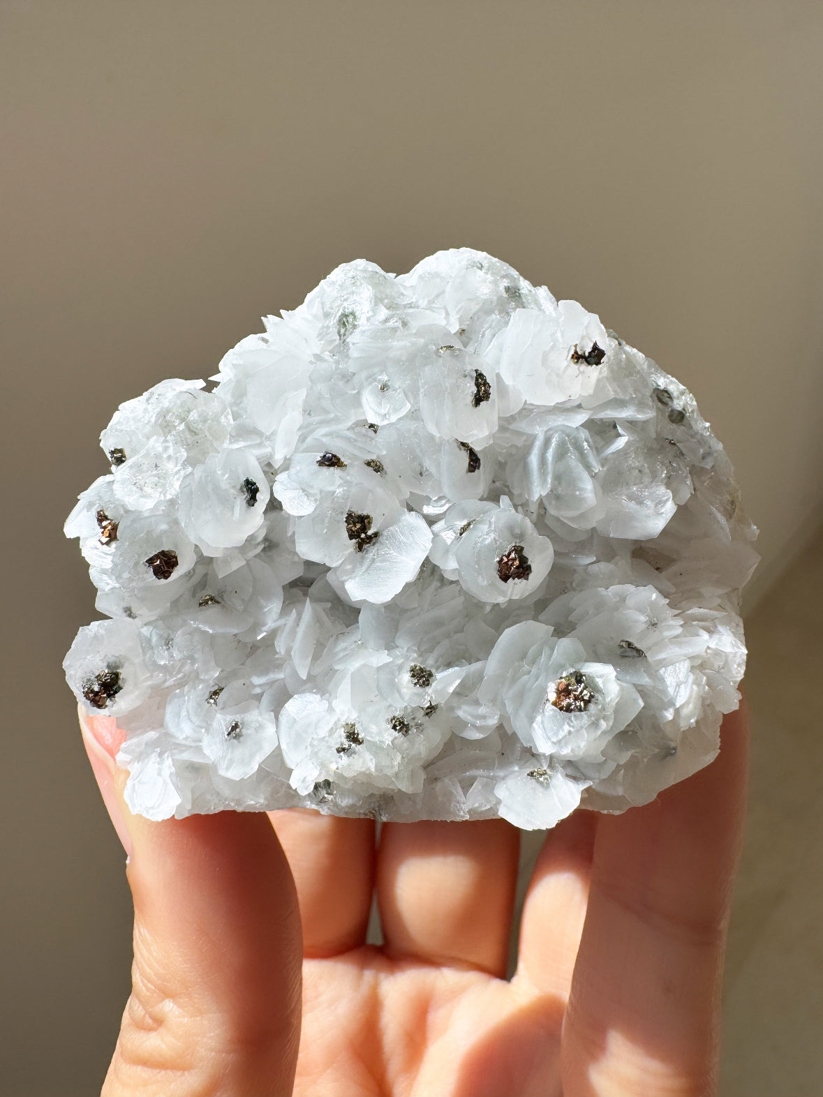 【中国 福建省】カルサイト【cal126】 91629-2_1440x.jpg?v=1684826305