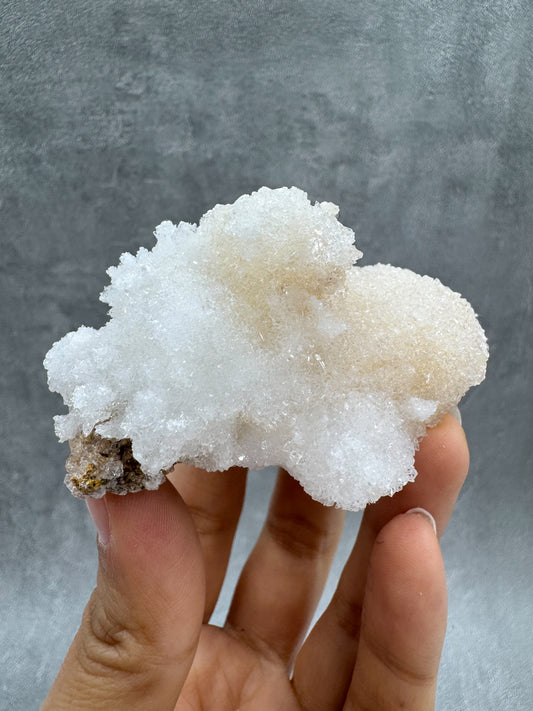 クリーダイト③ ~Creedite~