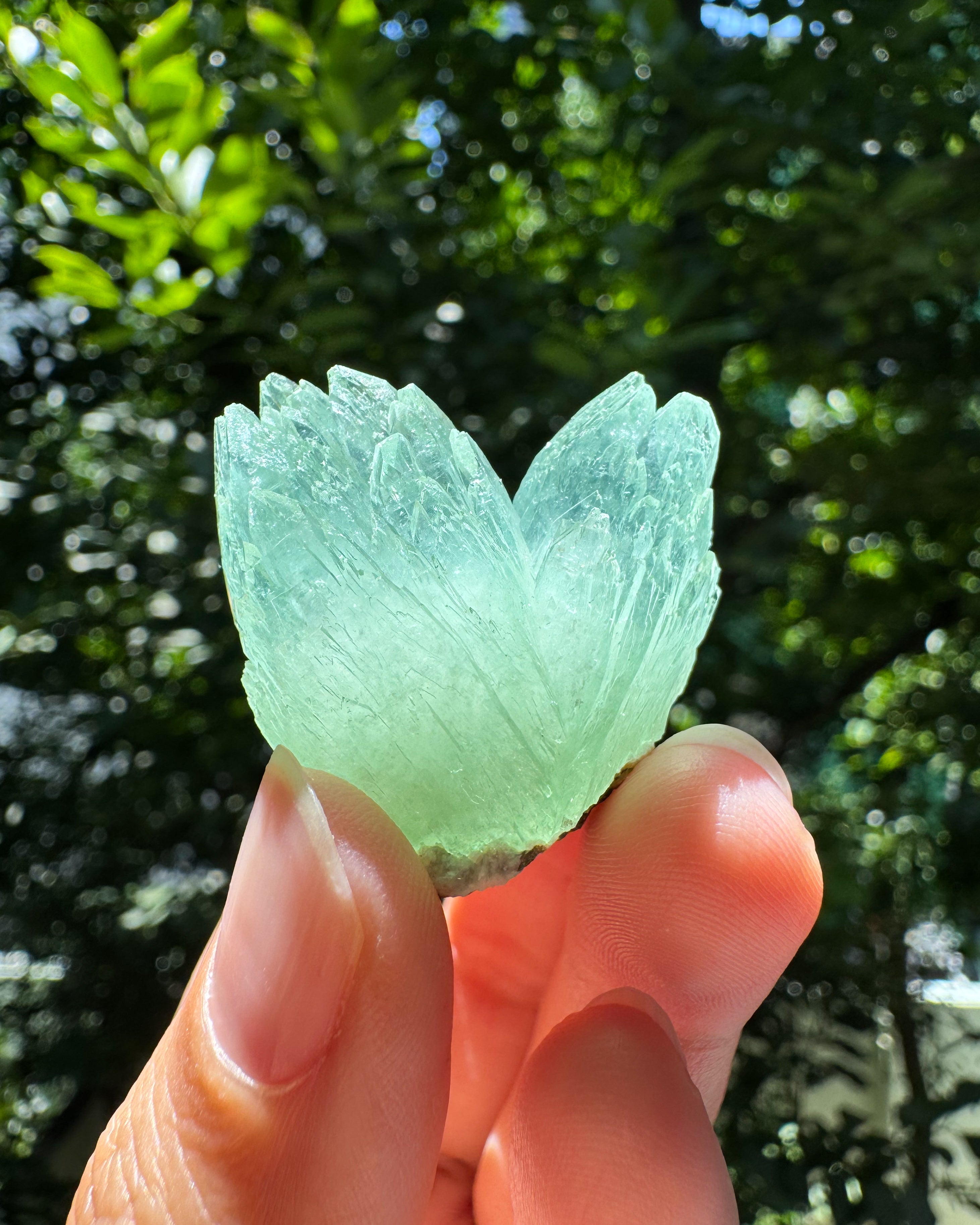 インド産グリーンアポフィライト① ~Green Apophyllite~ – WROSE