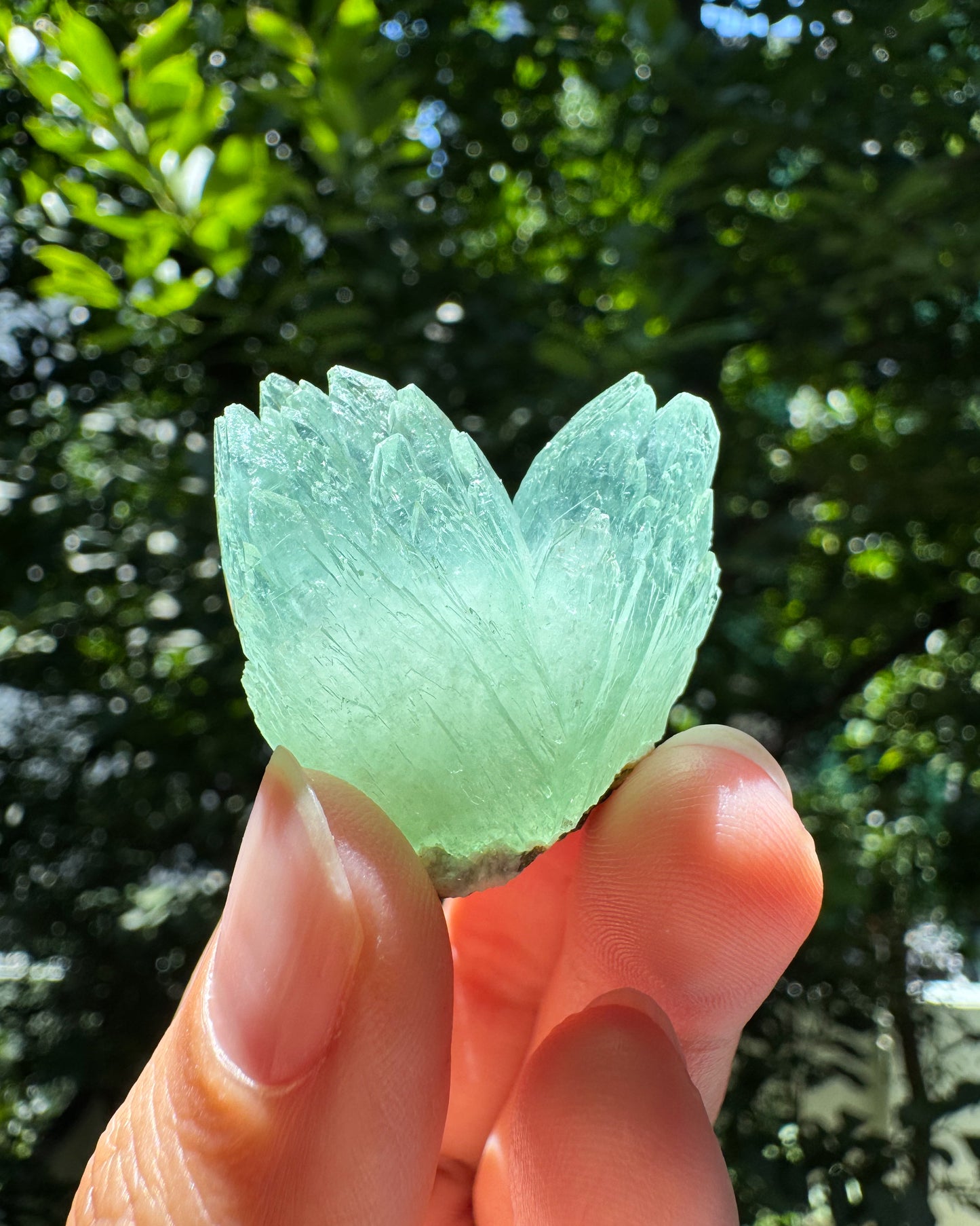 インド産グリーンアポフィライト① ~Green Apophyllite~