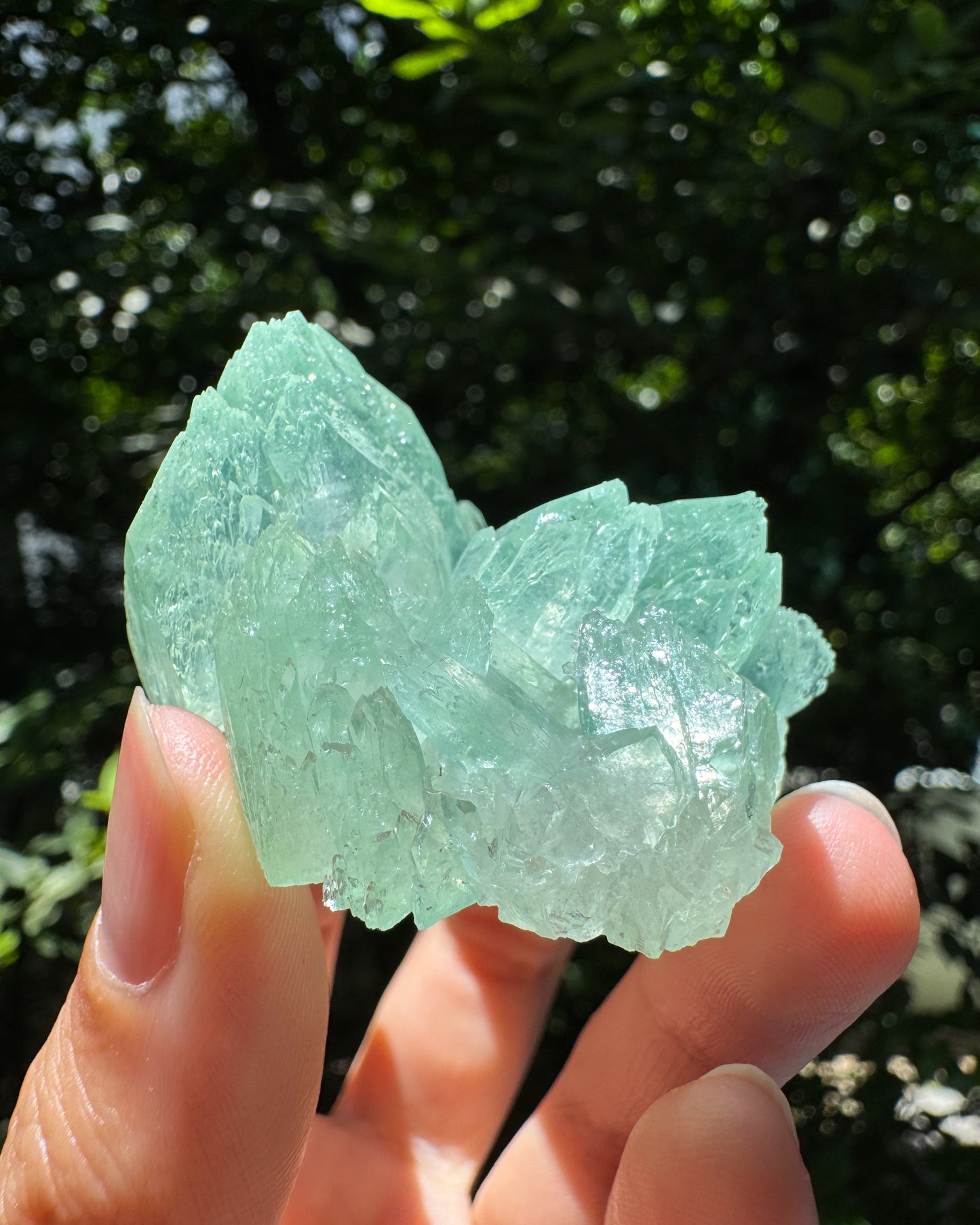 インド産グリーンアポフィライト④ ~Green Apophyllite~