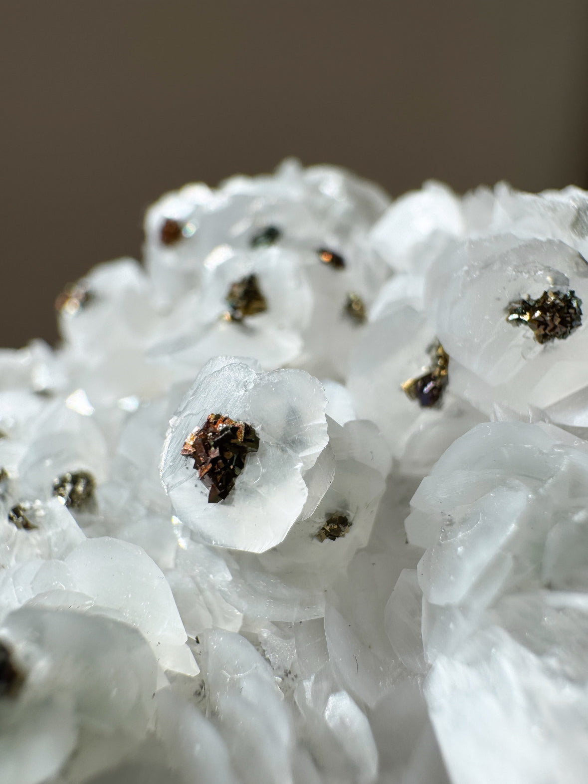 福建省産カルサイト＆カルコパイライト ~Calcite & Chalcopyrite~