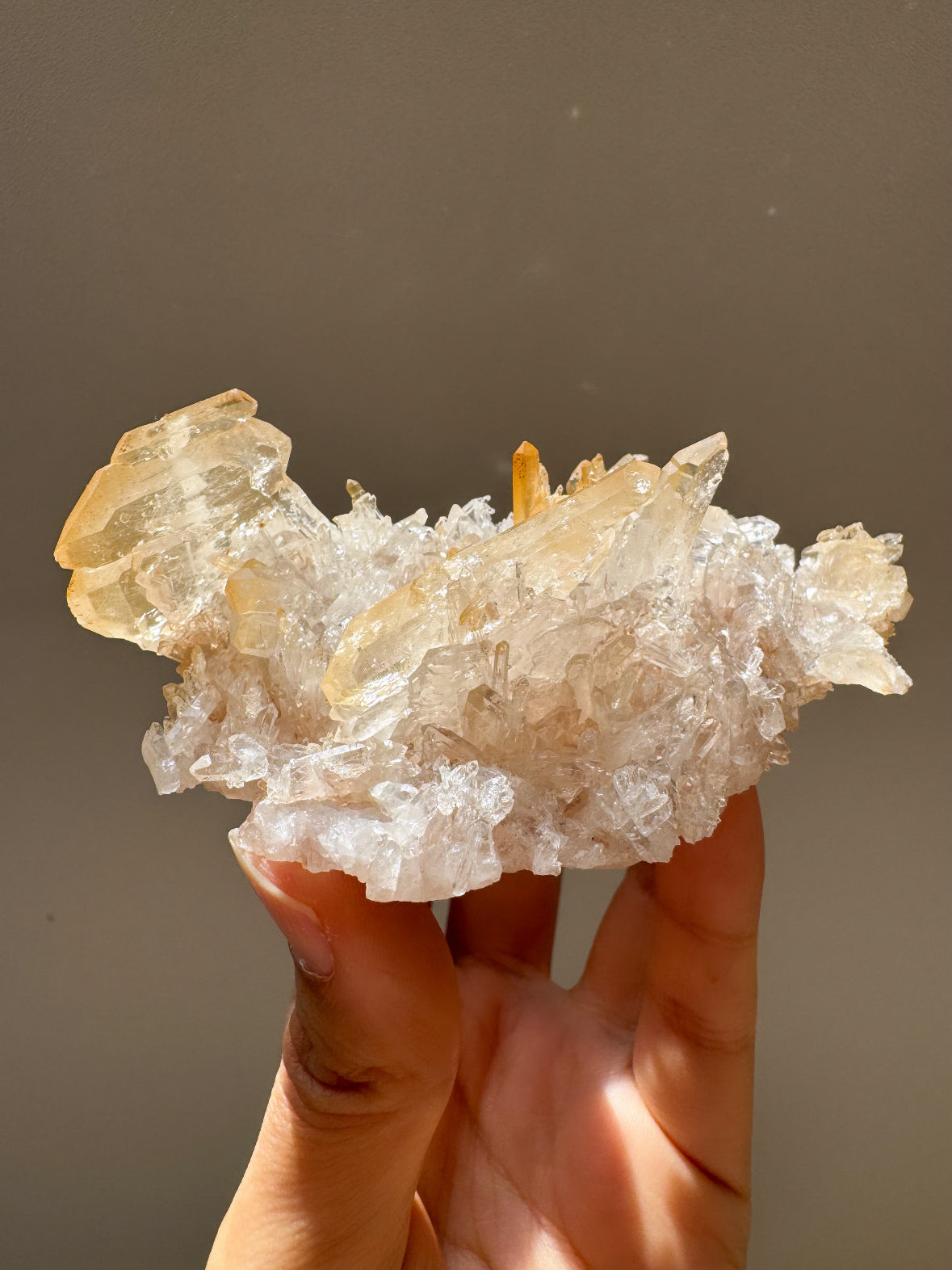 コロンビア産ピンク＆ゴールデンファデンクラスター ~Pink & Golden Faden~