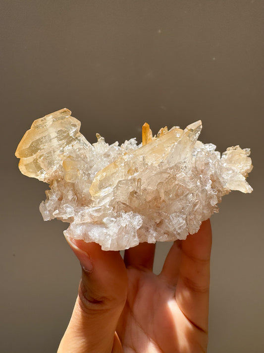 コロンビア産ピンク＆ゴールデンファデンクラスター ~Pink & Golden Faden~