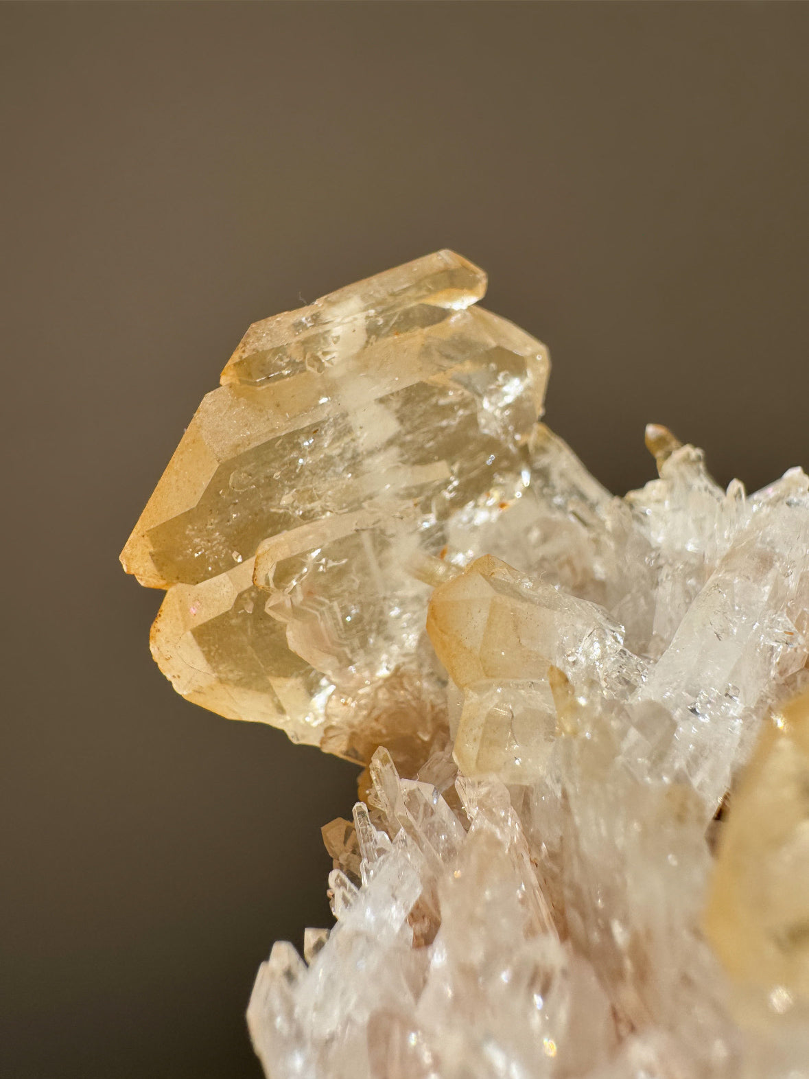 コロンビア産ピンク＆ゴールデンファデンクラスター ~Pink & Golden Faden~