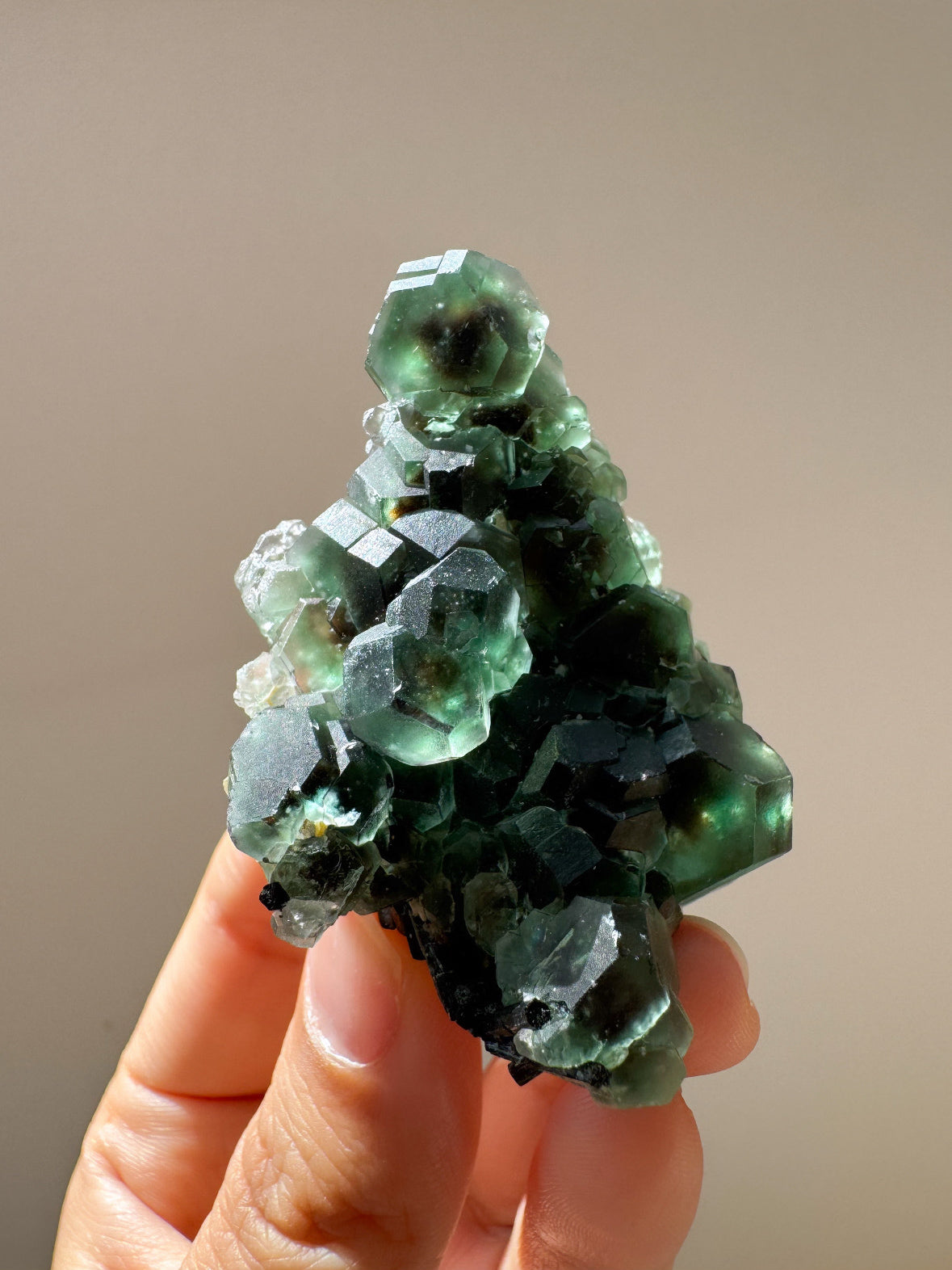 エロンゴ産フローライト＆ブラックトルマリン ~Fluorite & Schorl~