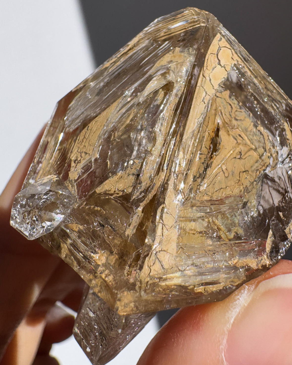 トスカーナ産フェンスター水晶① ~Fenster Quartz~