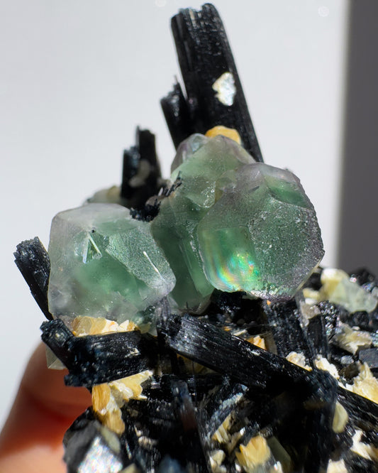 エロンゴ産フローライト＆ブラックトルマリン ~Fluorite & Schorl~