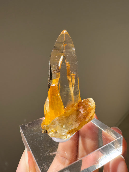 ガネーシュヒマールラパ産ゴールデンヒーラーテッシンハビット ~Ganesh Himal Golden Healer Tessin Habit~