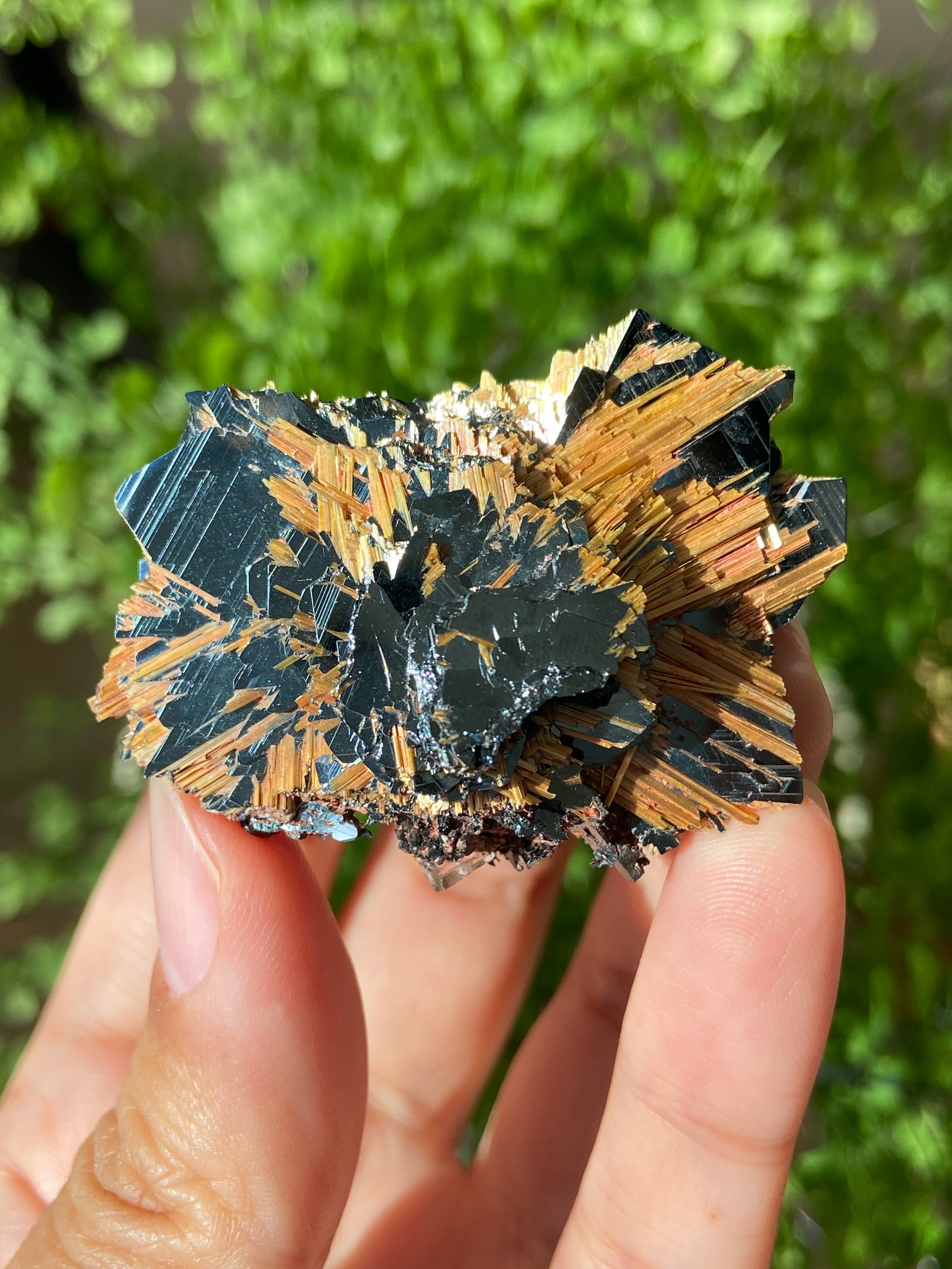 ノボホリゾンテヘマタイトゴールデンルチル ~Hematite Golden