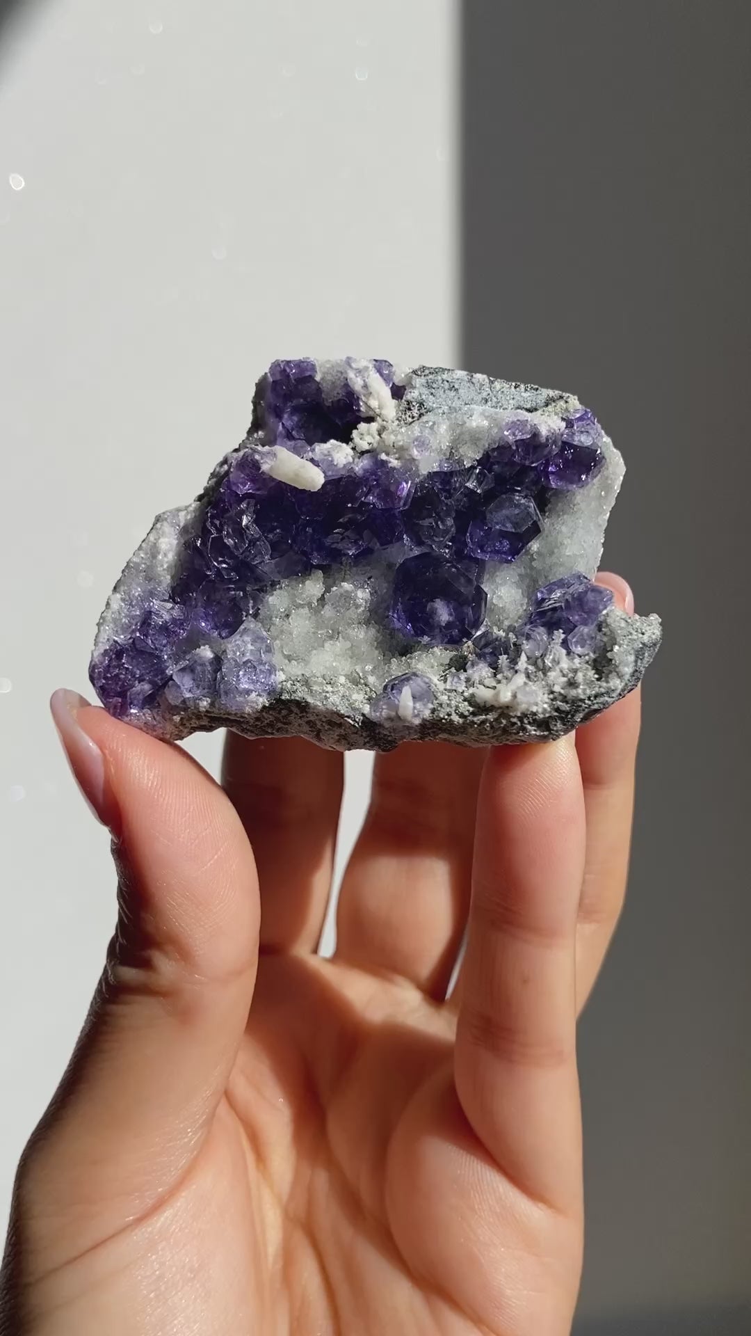 タンザナイトフローライト~Tanzanite Fluorite L~ – WROSE