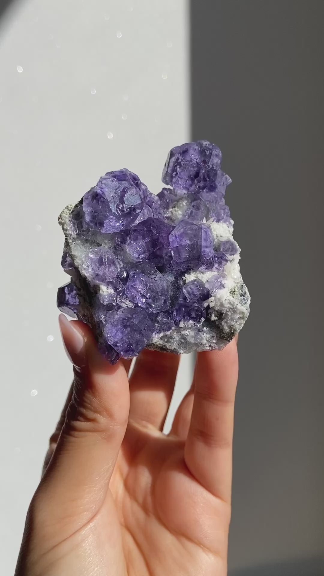 タンザナイトフローライト~Tanzanite Fluorite K~ – WROSE