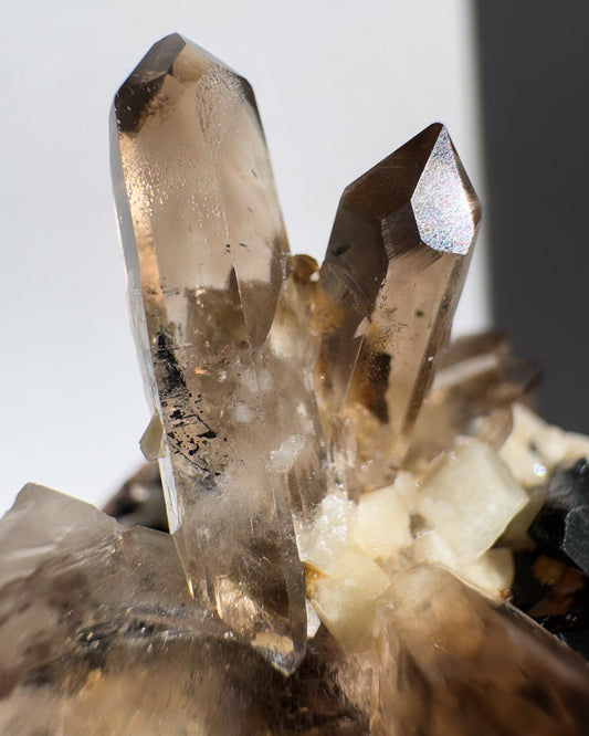 マラウィ産エジェリン＆スモーキークォーツ① ~Aegerine & Smoky Quartz~