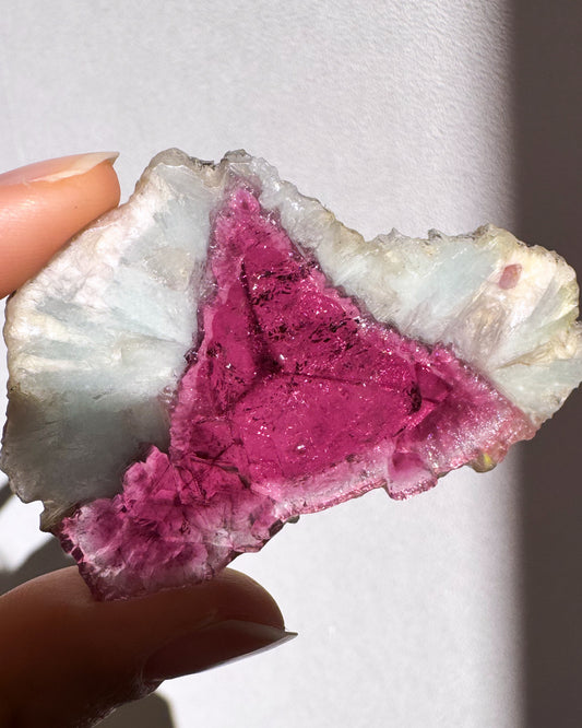 マルカン産トルマリンスライス② ~Tourmaline & Cleavelandite~