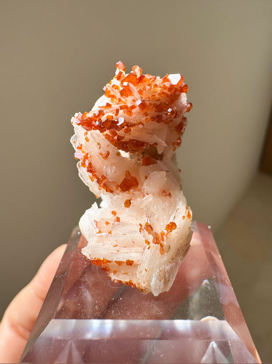 モロッコ産バナディナイト＆バーライト ~Vanadinite & Barite~